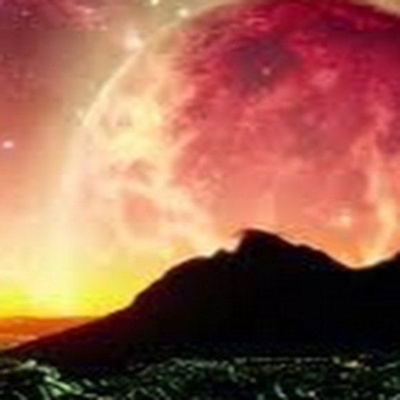 Meet your Posher, Roderick - Picture 1 of 1